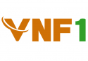 VNF1